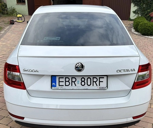 Skoda Octavia cena 57900 przebieg: 167000, rok produkcji 2018 z Sompolno małe 379